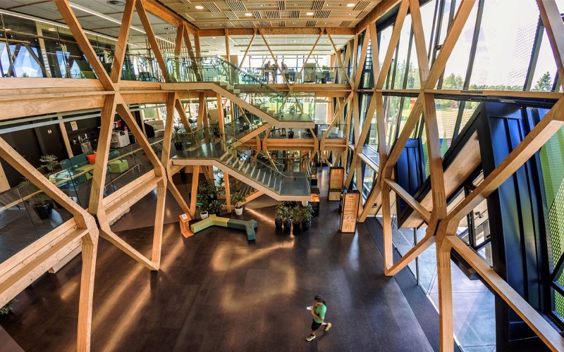 EG31_Timber_1
