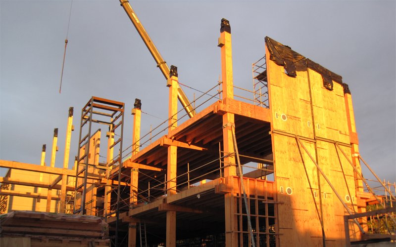 EG31_Timber_3