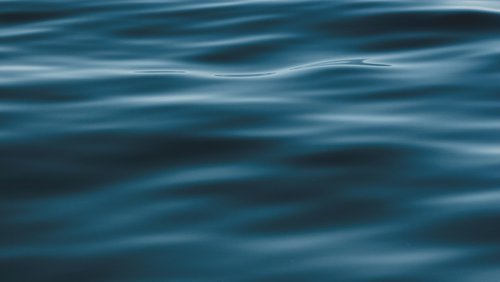 jorge-vasconez-LCaKuYefLQk-unsplash
