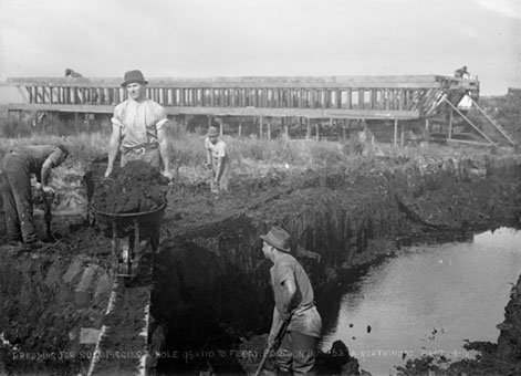 Kauri Gum Mining 2