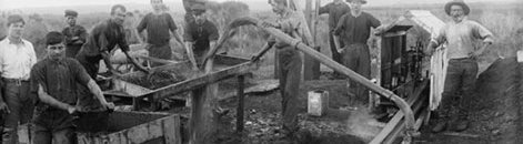 Kauri Gum Mining 3