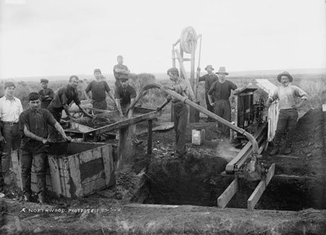 Kauri Gum Mining 3